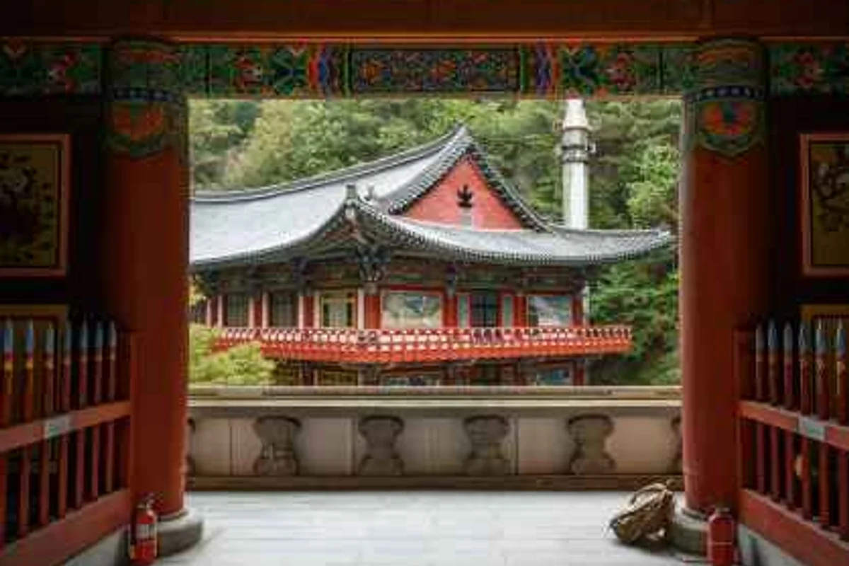 단양 만천하스카이워크 짚라인 - 단양여행 여행