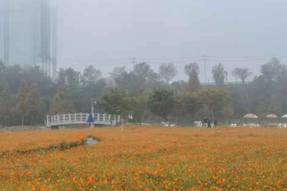 합천영상테마파크 - 합천여행 여행