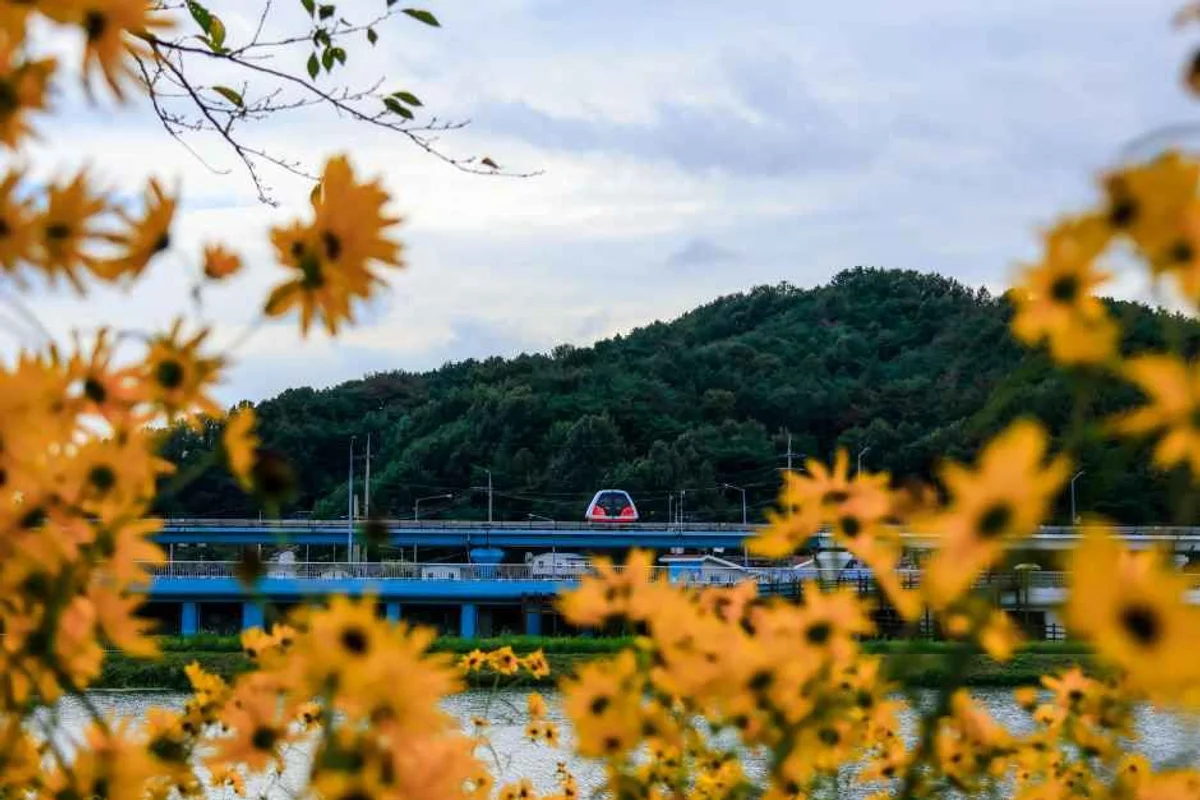 순천 아랫장: 순천만국가정원과 연계된 전통시장 - 순천여행 여행
