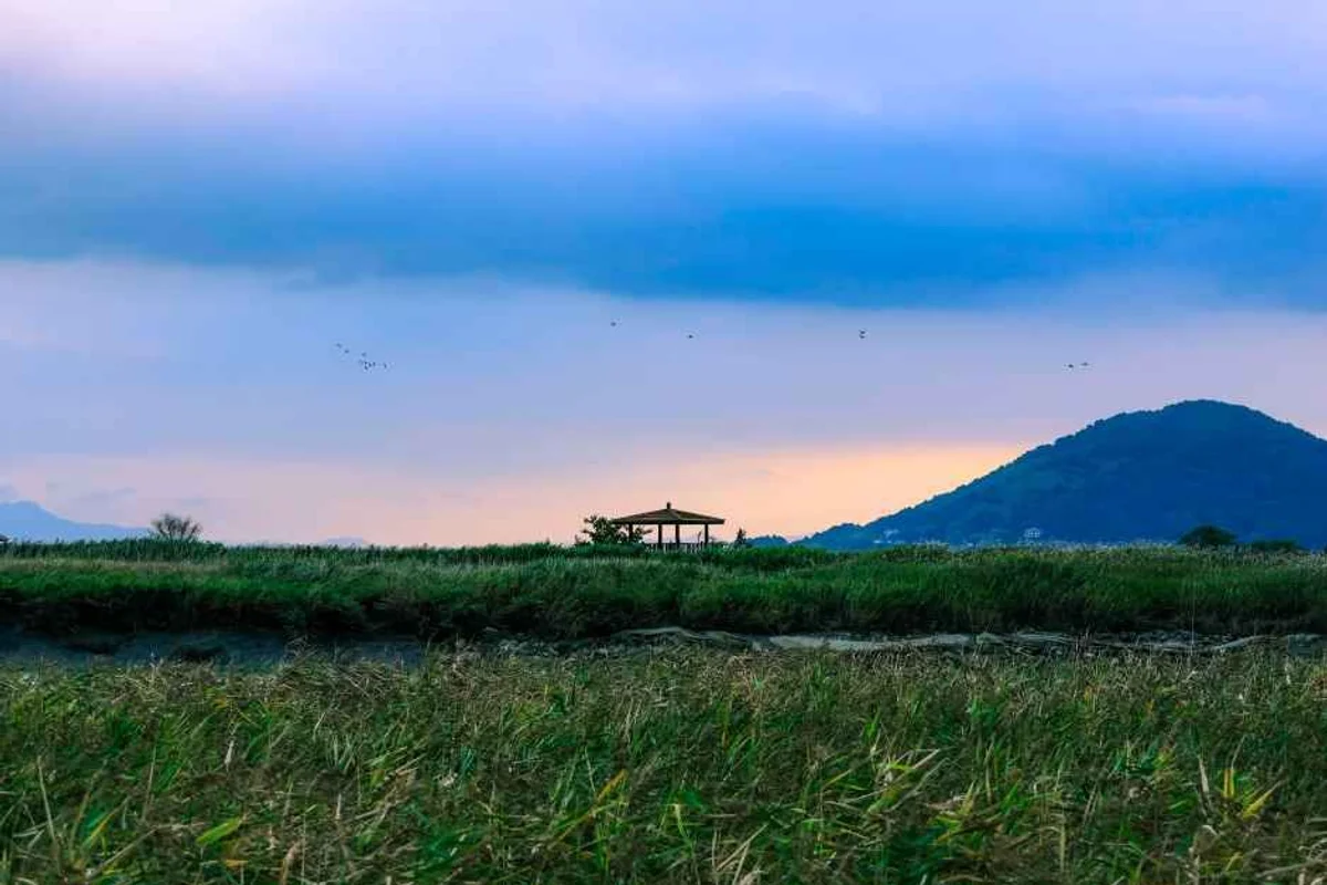 순천만습지 등산 코스 (출처 : 한국관광공사)