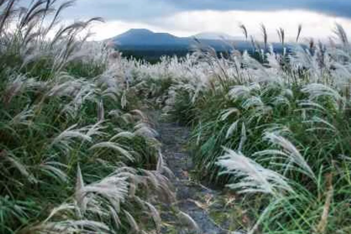 스누피가든 - 제주도숙소 여행