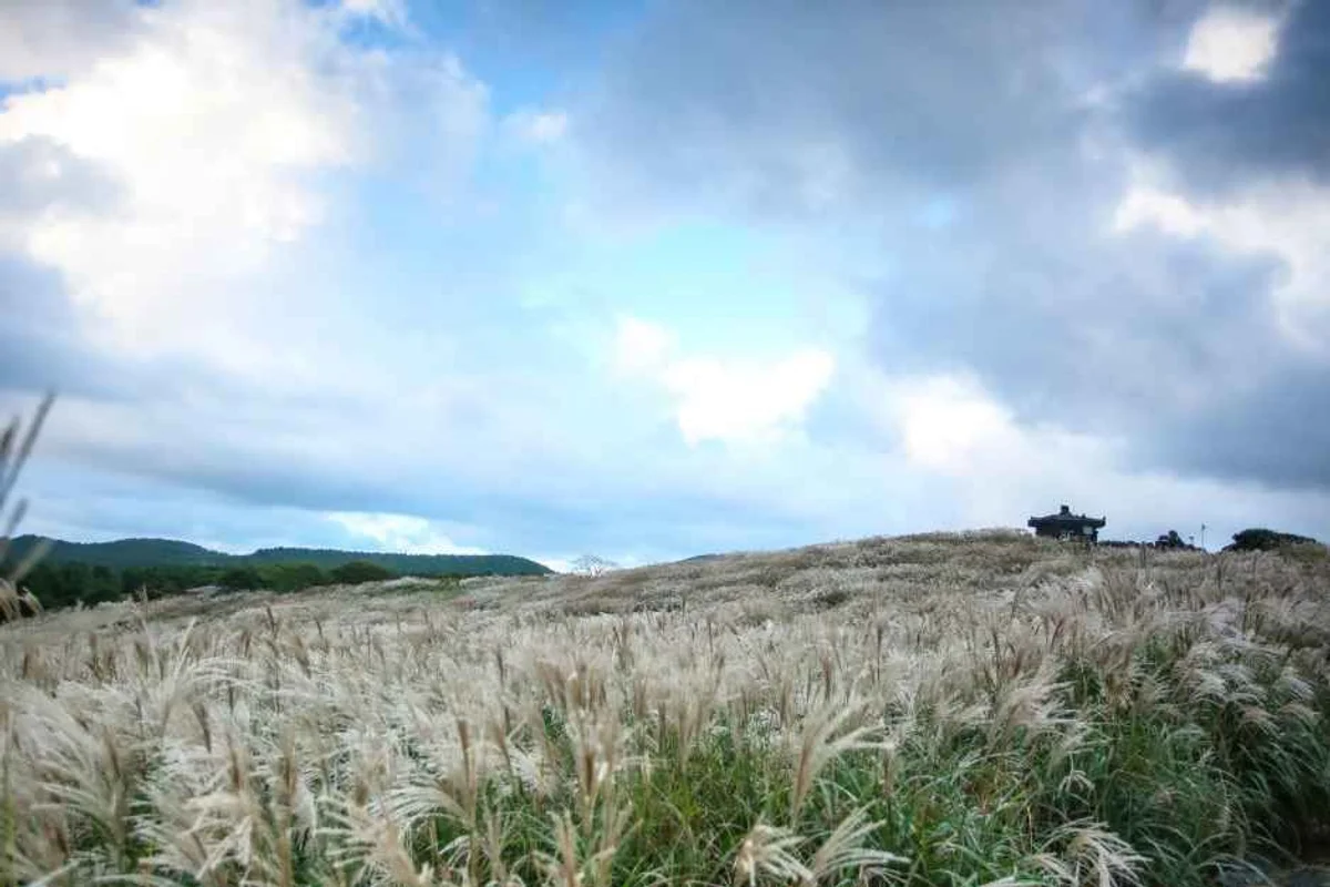 81파크 제주 - 제주여행 여행