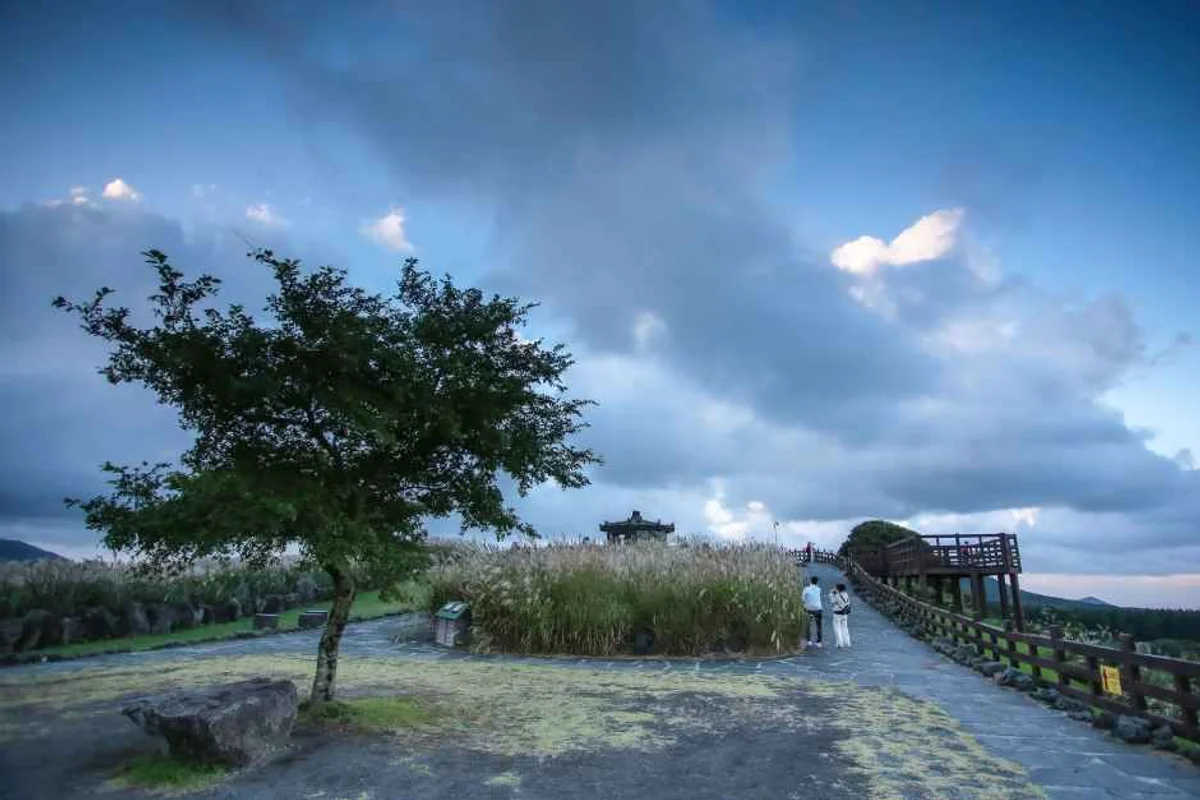 카파이풋 - 제주도여행 여행