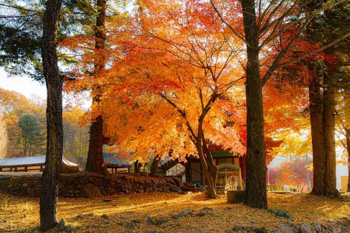 산들소리 - 남양주 여행