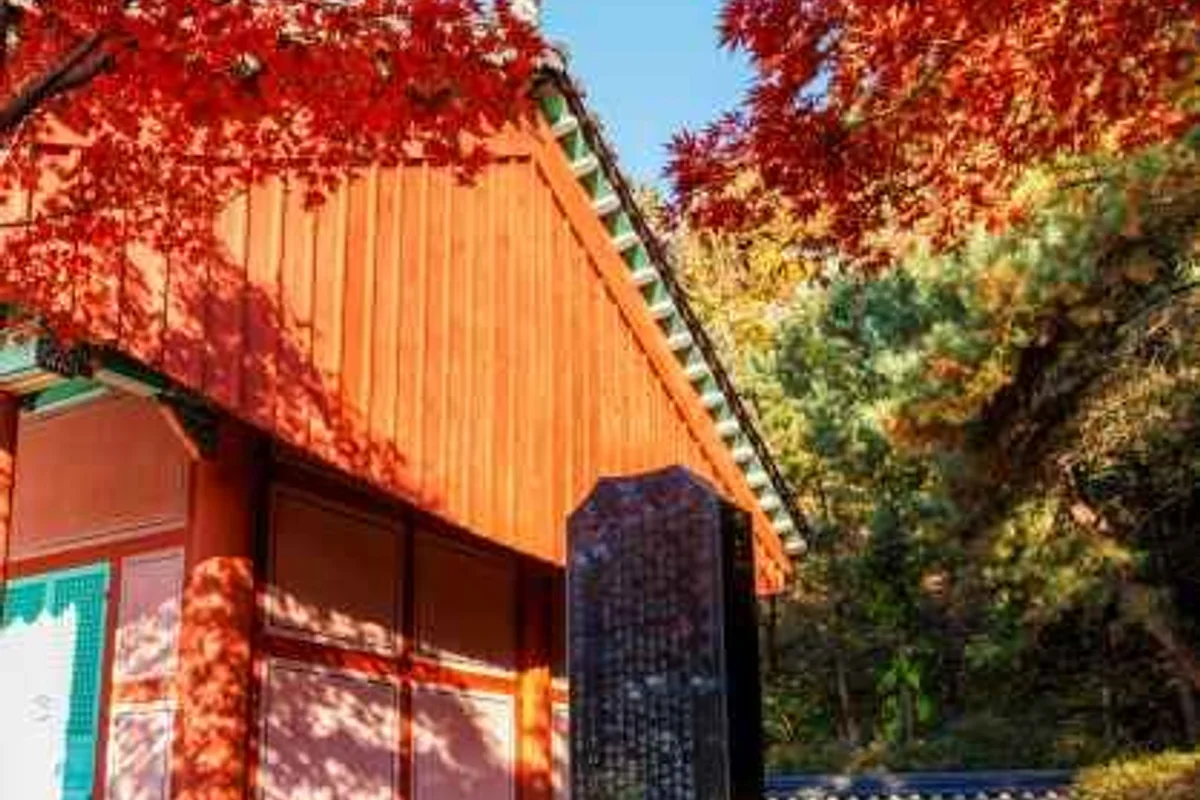 농협경제지주 안성팜랜드 - 안성글램핑 여행