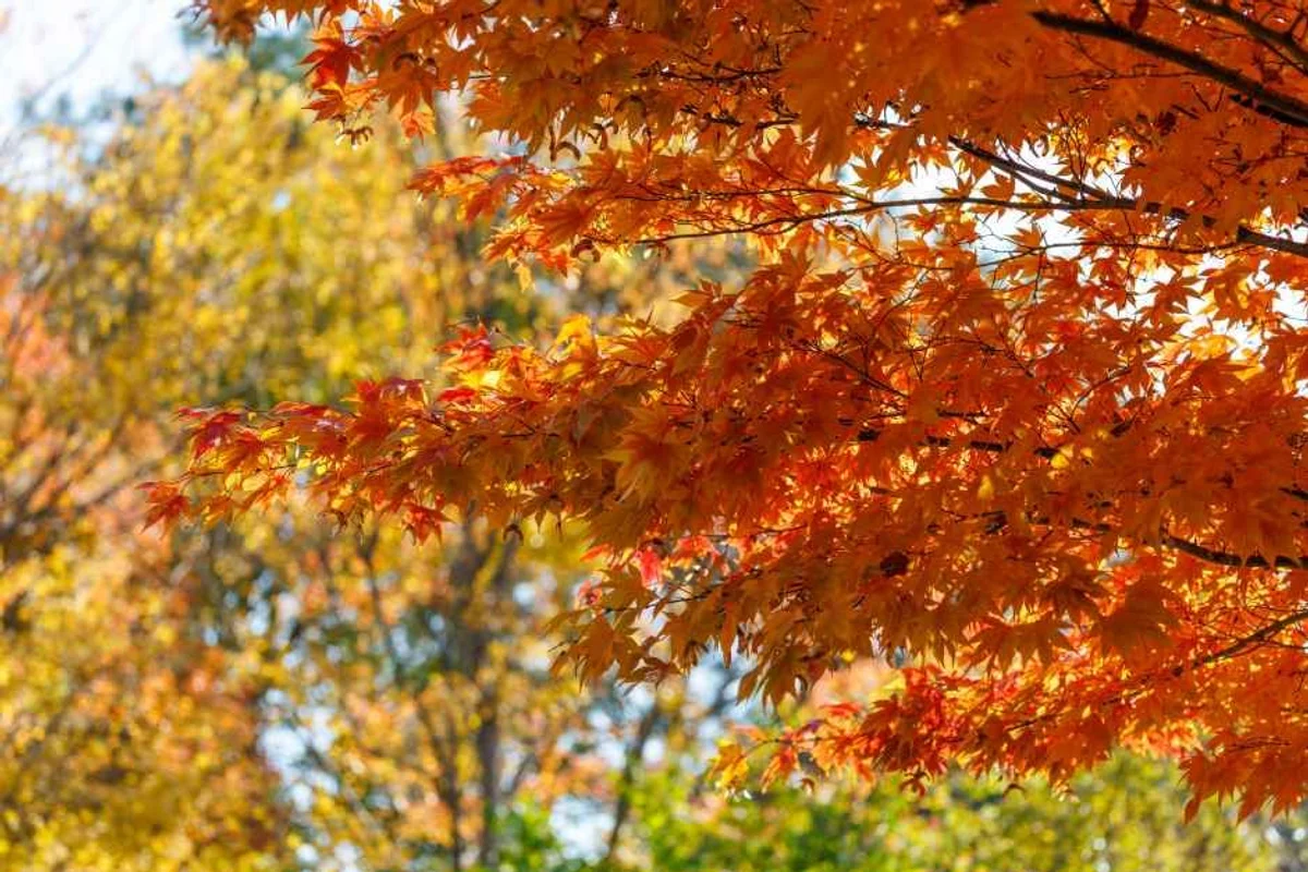 춘천 삼악산 호수케이블카 - 춘천여행 여행