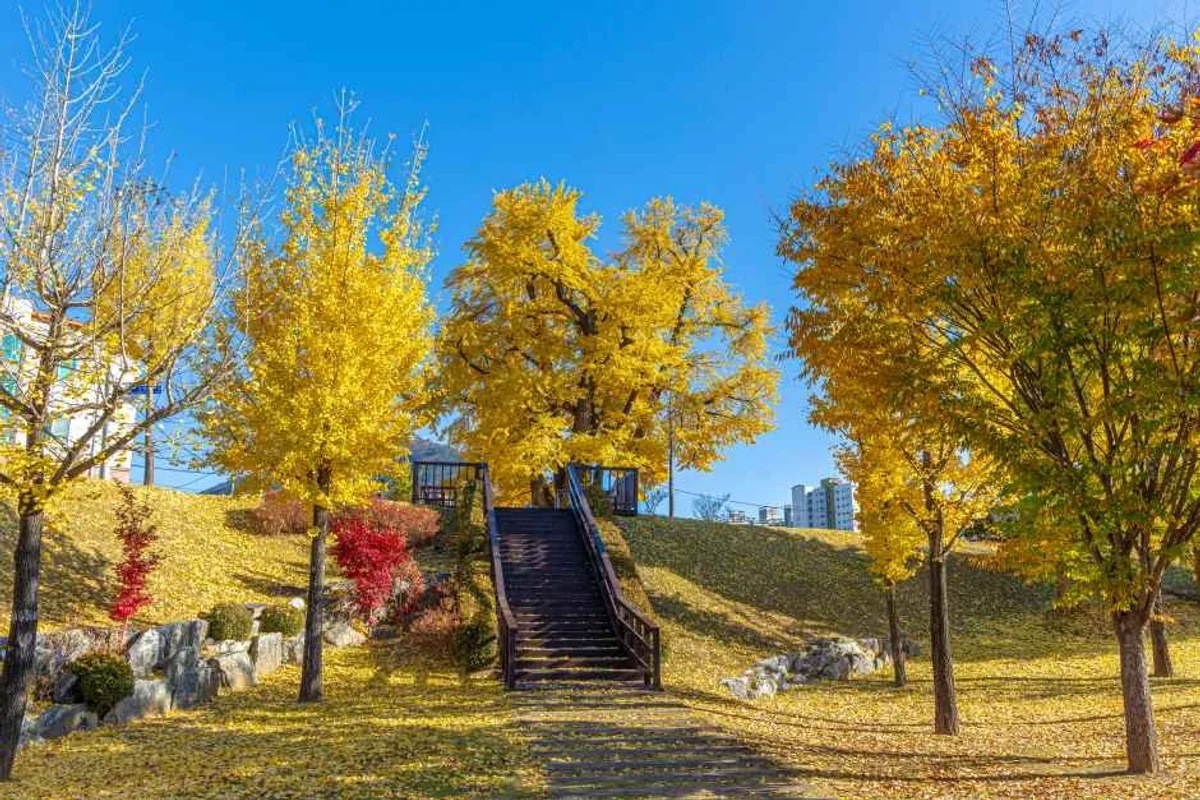 영월 식물원 (출처 : 한국관광공사)