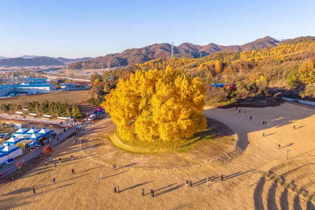 원주자유시장 - 원주여행 여행