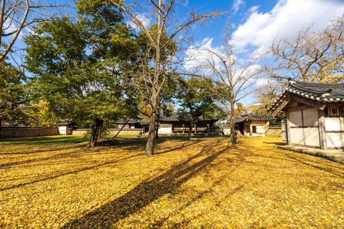 청라 계곡 피서지, 봄을 위한 새로운 제안 - 청라 여행