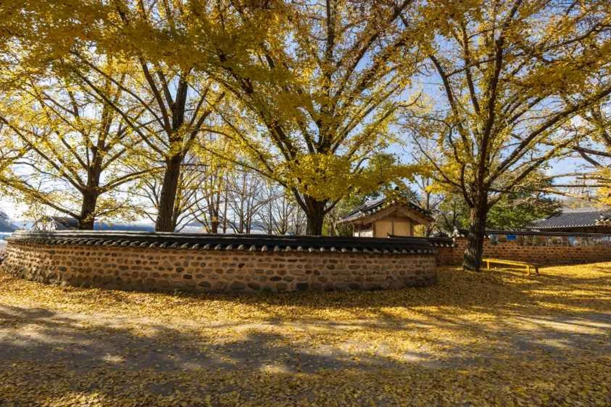 쥬라리움 청라점 - 청라 여행