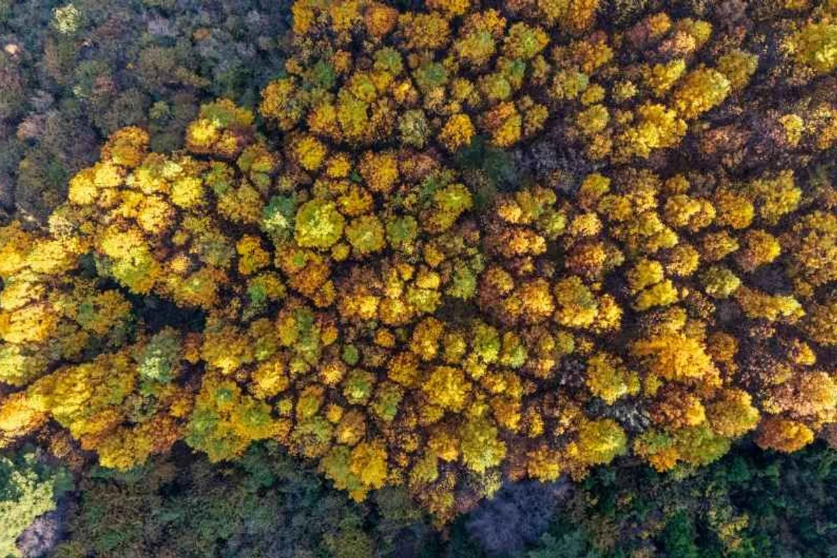 보령 오션뷰 숙소 (출처 : 한국관광공사)