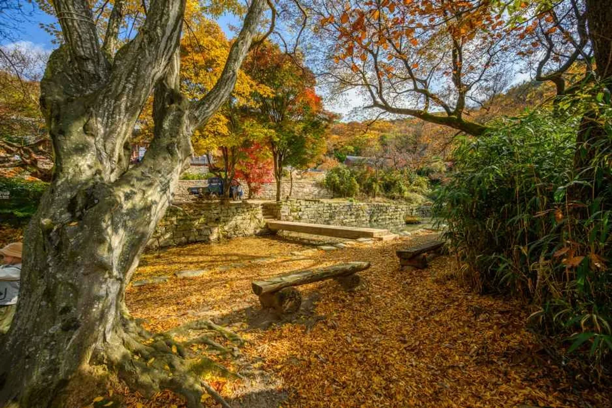 개심사 - 서산여행 여행