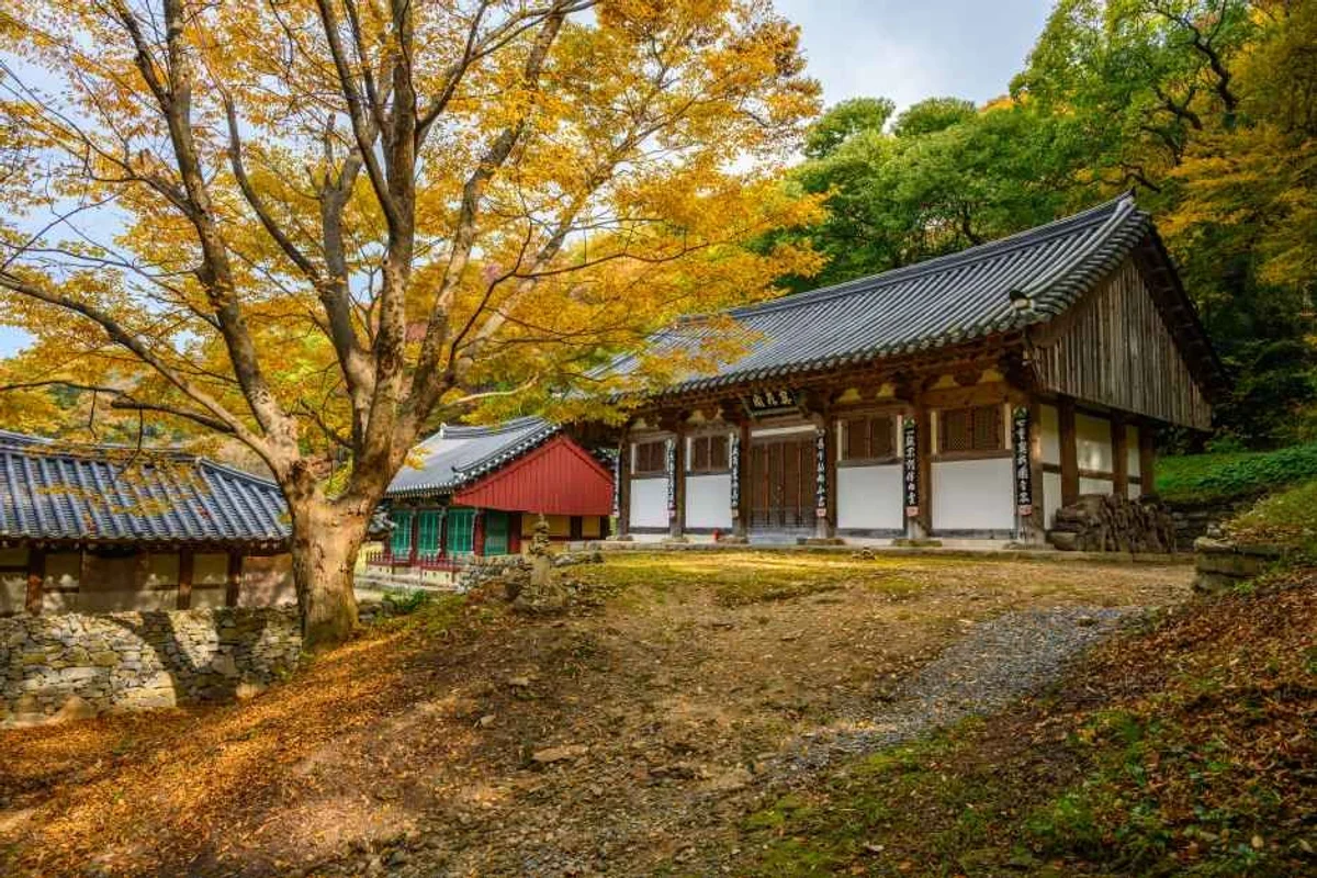 삼길포항 - 서산여행 여행