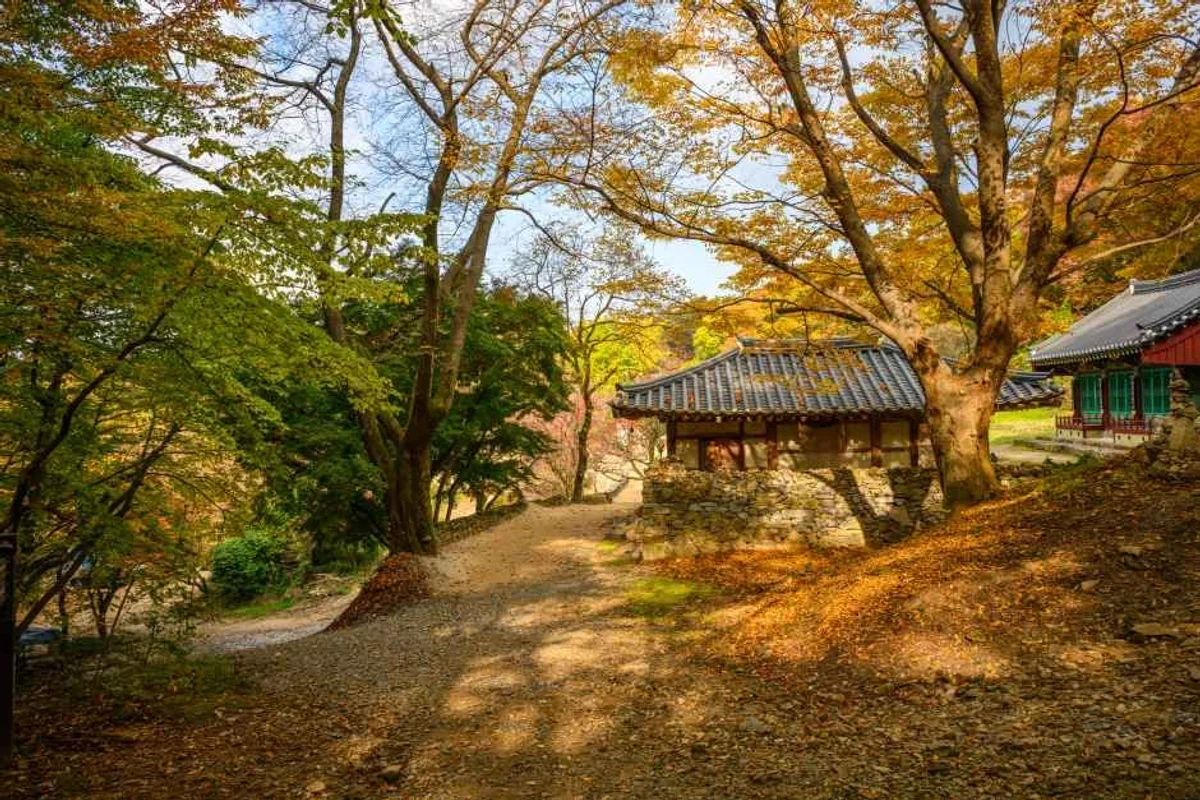 스핑크스타조농장 - 서산여행 여행