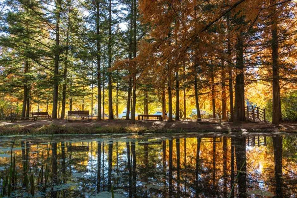 안동시 근교여행 (출처 : 한국관광공사)