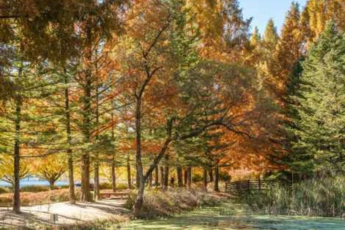 울산대공원 키즈테마파크 - 울산대공원 여행