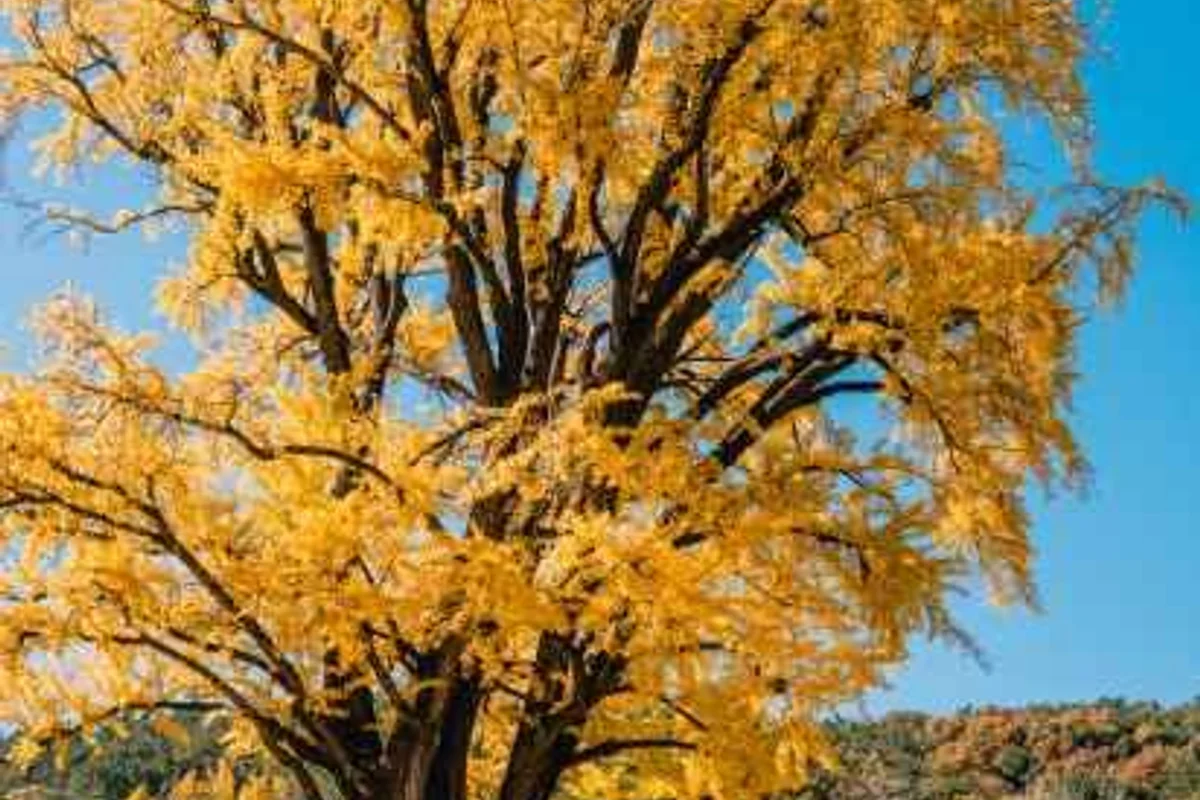 함안 갈만한곳 (출처 : 한국관광공사)