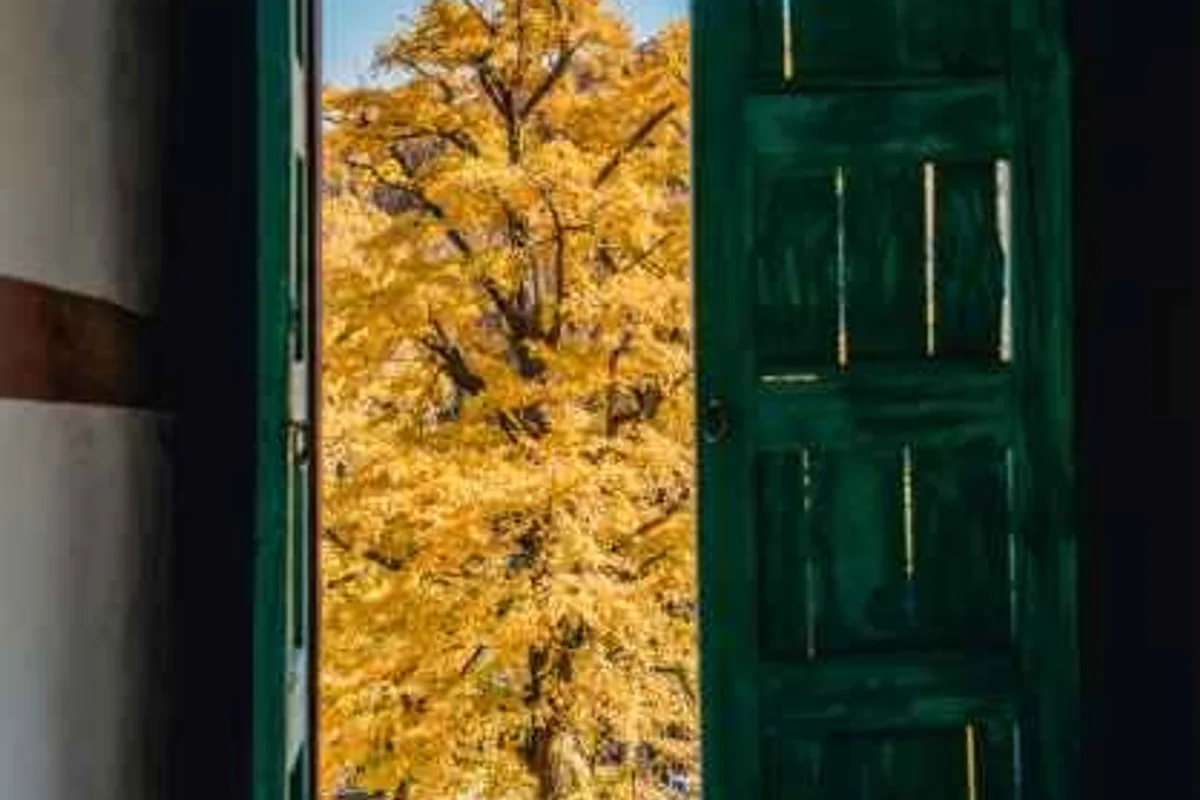 함안 갈만한곳: 악양생태공원 - 함안여행 여행