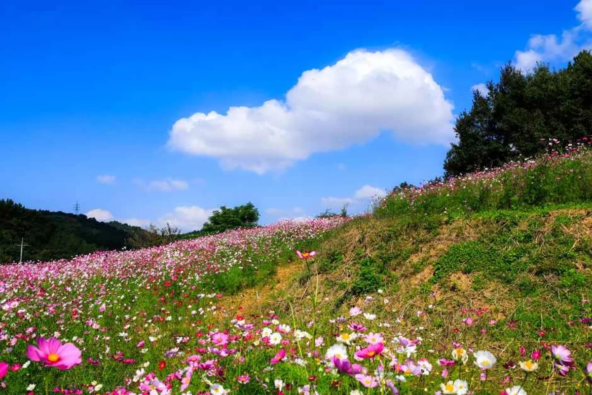 남악중앙공원 - 무안야경 여행
