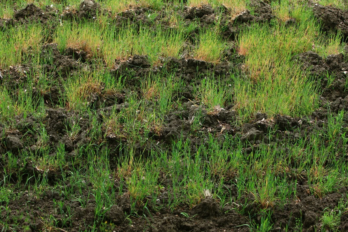 담양 커플 여행 (출처 : 한국관광공사)