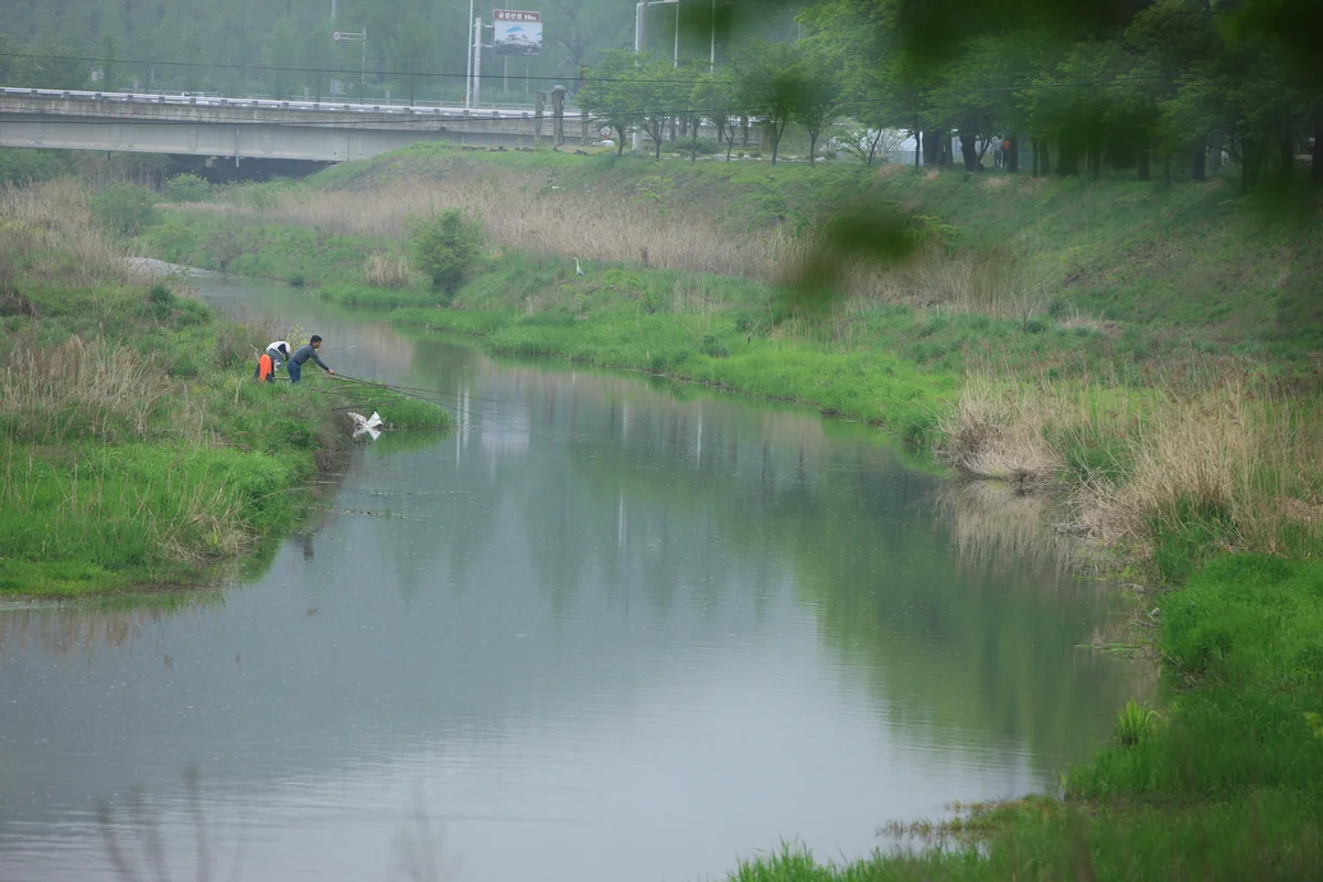 담양관방제림 - 담양여행 여행