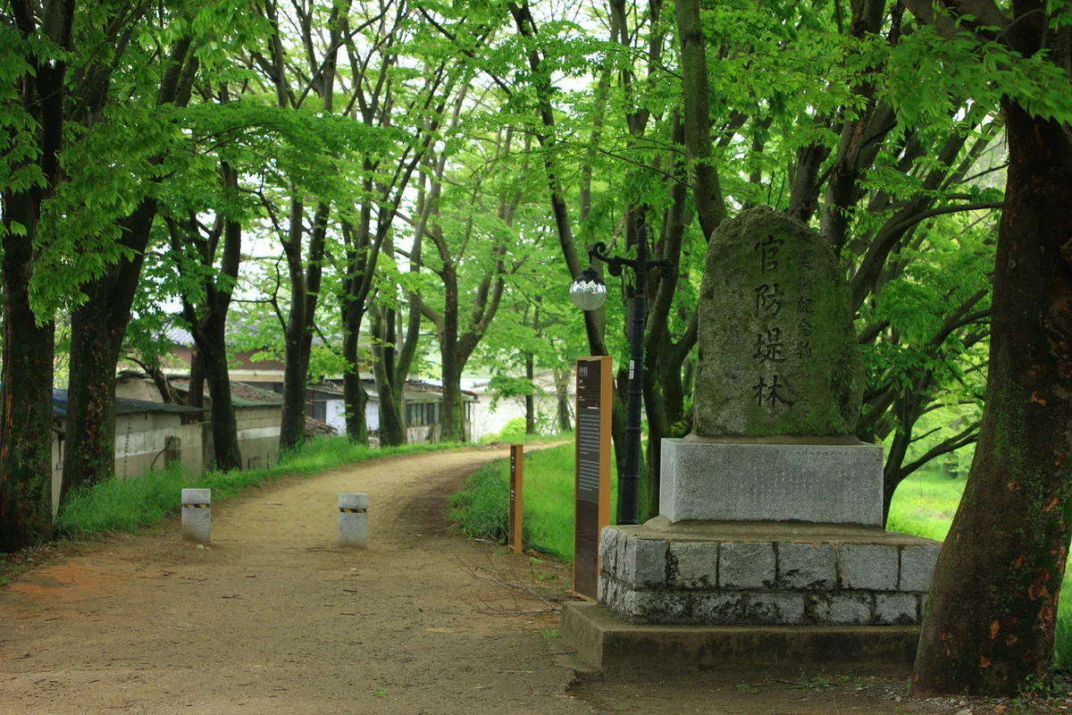 담양 피서지 추천 (출처 : 한국관광공사)