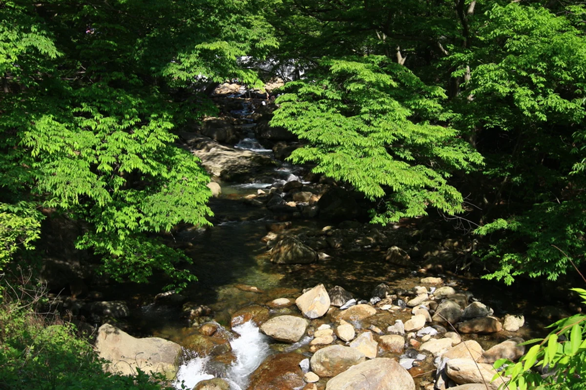 화엄사계곡 - 구례화엄사 여행