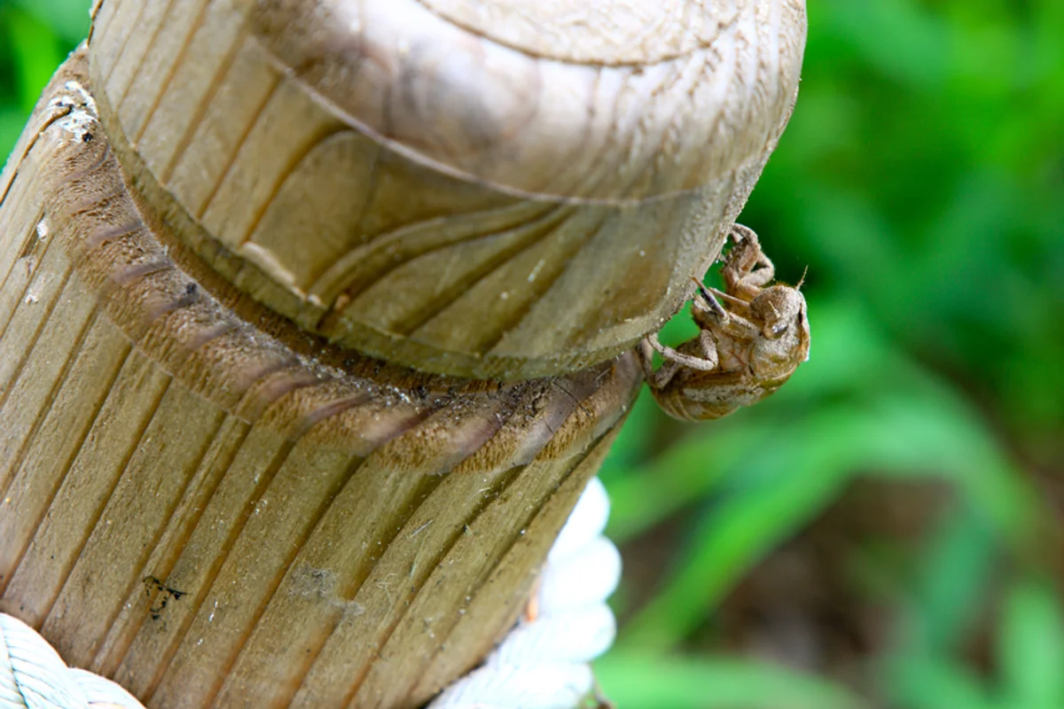 천리포수목원 - 서산여행 여행