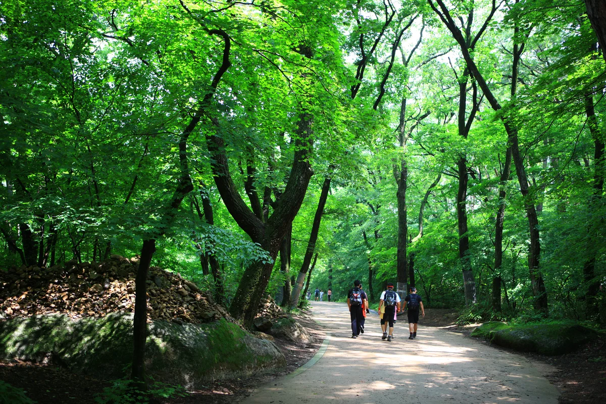 법주사 - 보은속리산진달래 여행