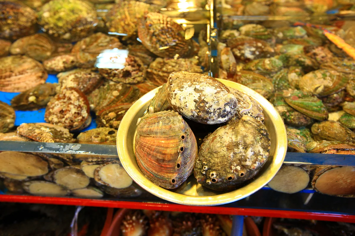 부산자갈치시장 - 부산여행 여행