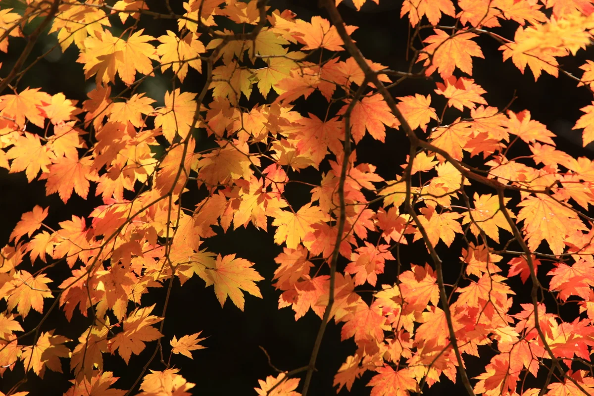 주왕산국립공원 - 청송여행 여행