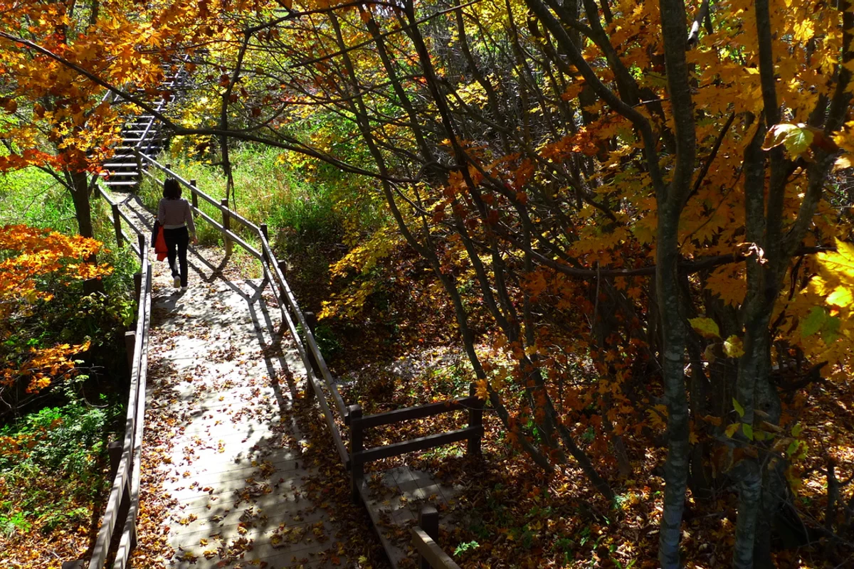 삼양 가볼만한곳 (출처 : 한국관광공사)