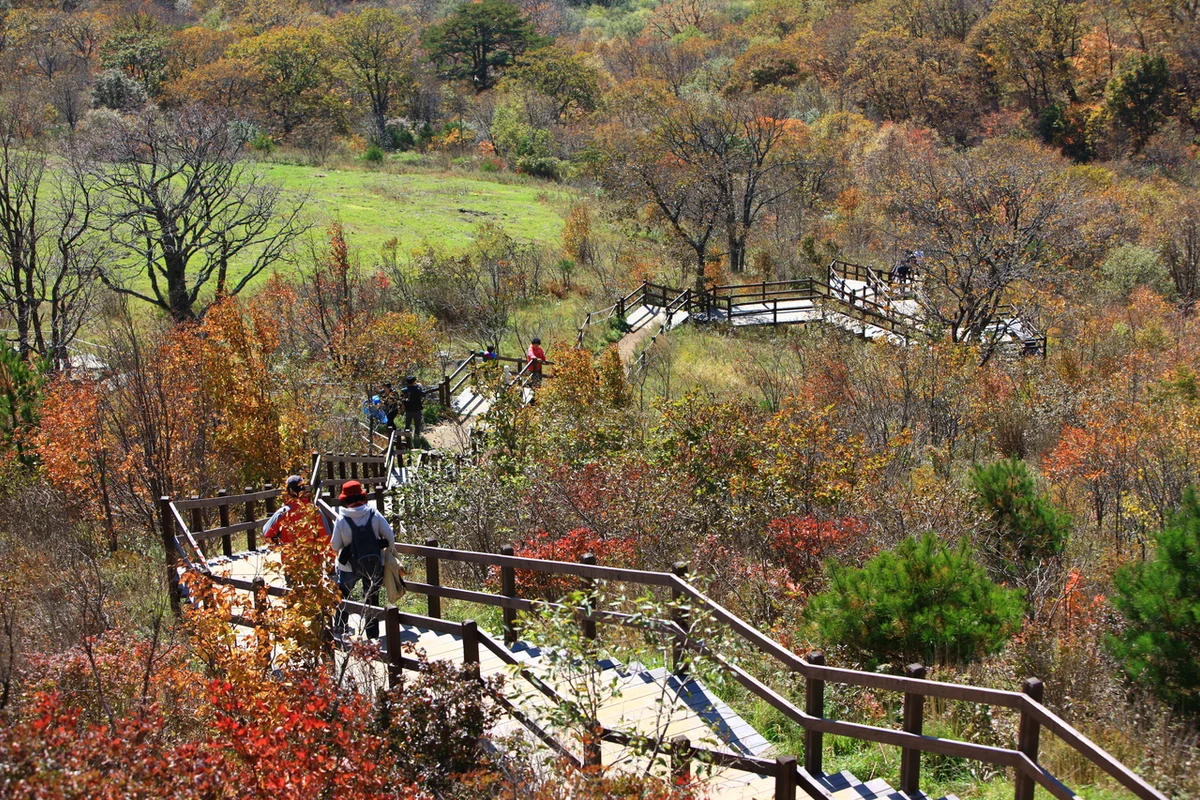 삼양 가볼만한곳: 2026 봄, 초록빛 힐링 명소 - 삼양동 여행
