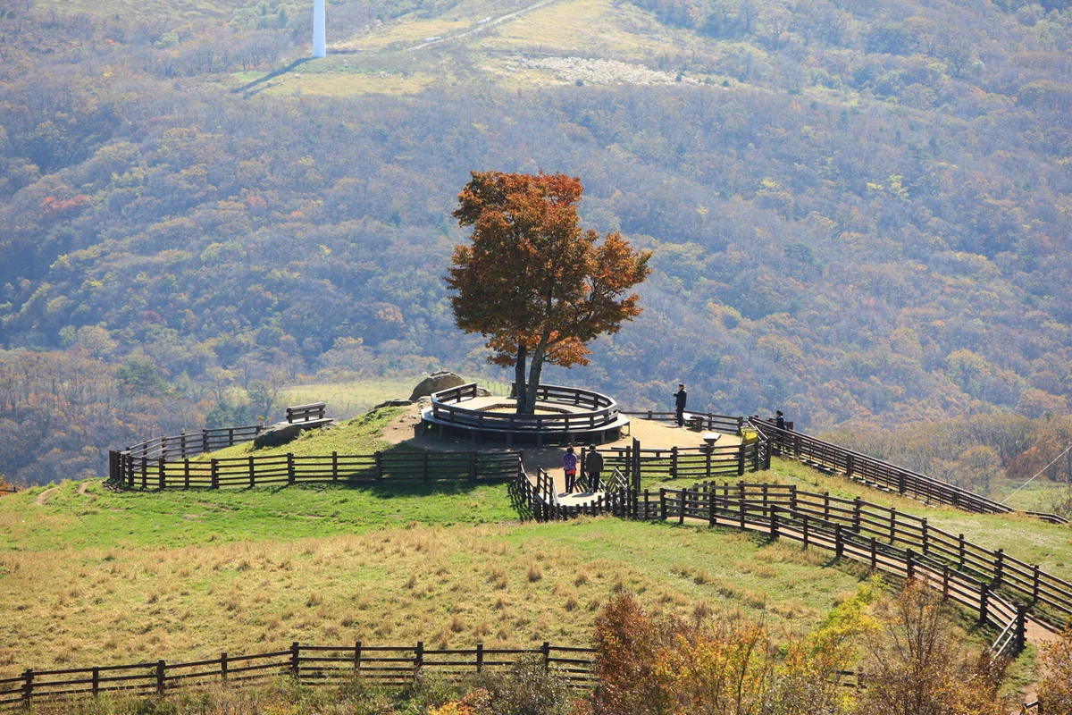 삼양체육과학공원 - 삼양동 여행