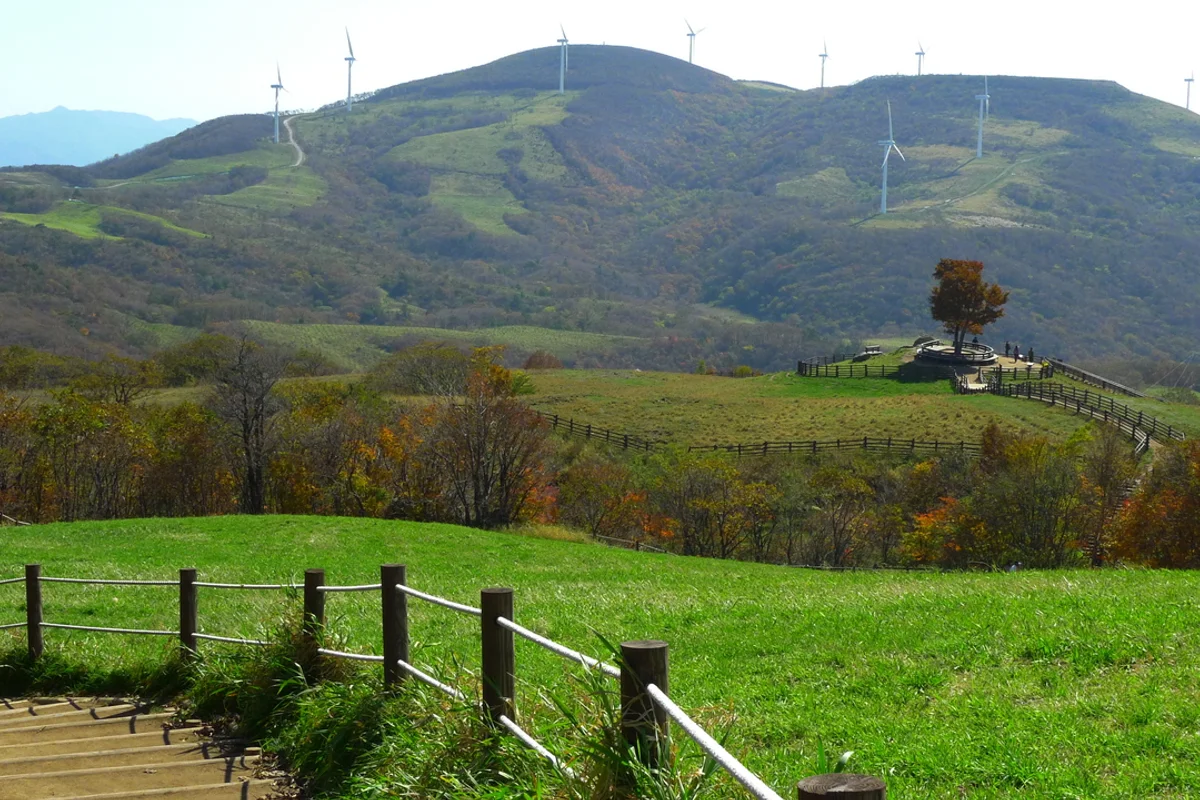 삼각산도시자연공원 - 삼양동 여행