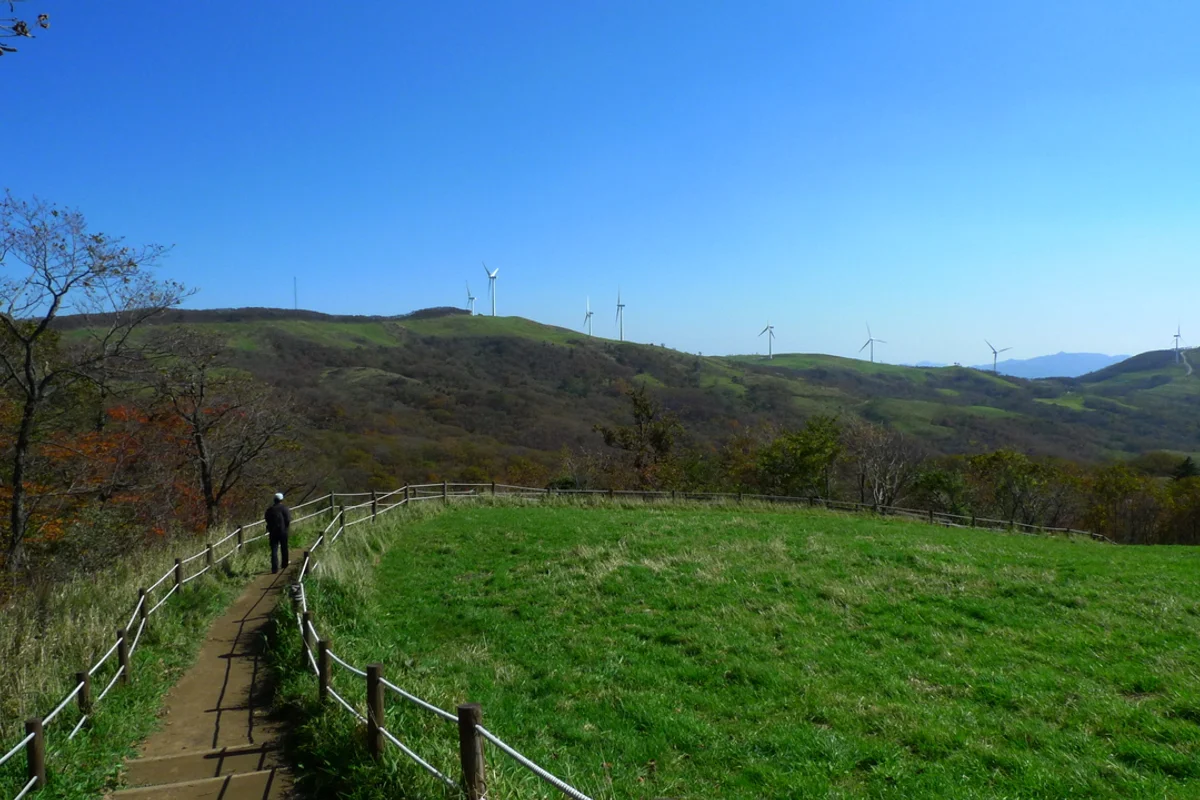 강북구_1711-02서울유아숲체험장 - 삼양동 여행