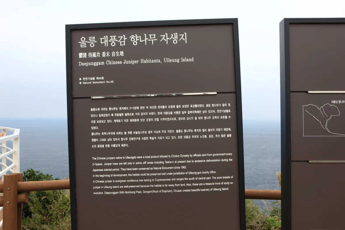 태하등대 & 향나무자생지 - 울릉도 여행 여행