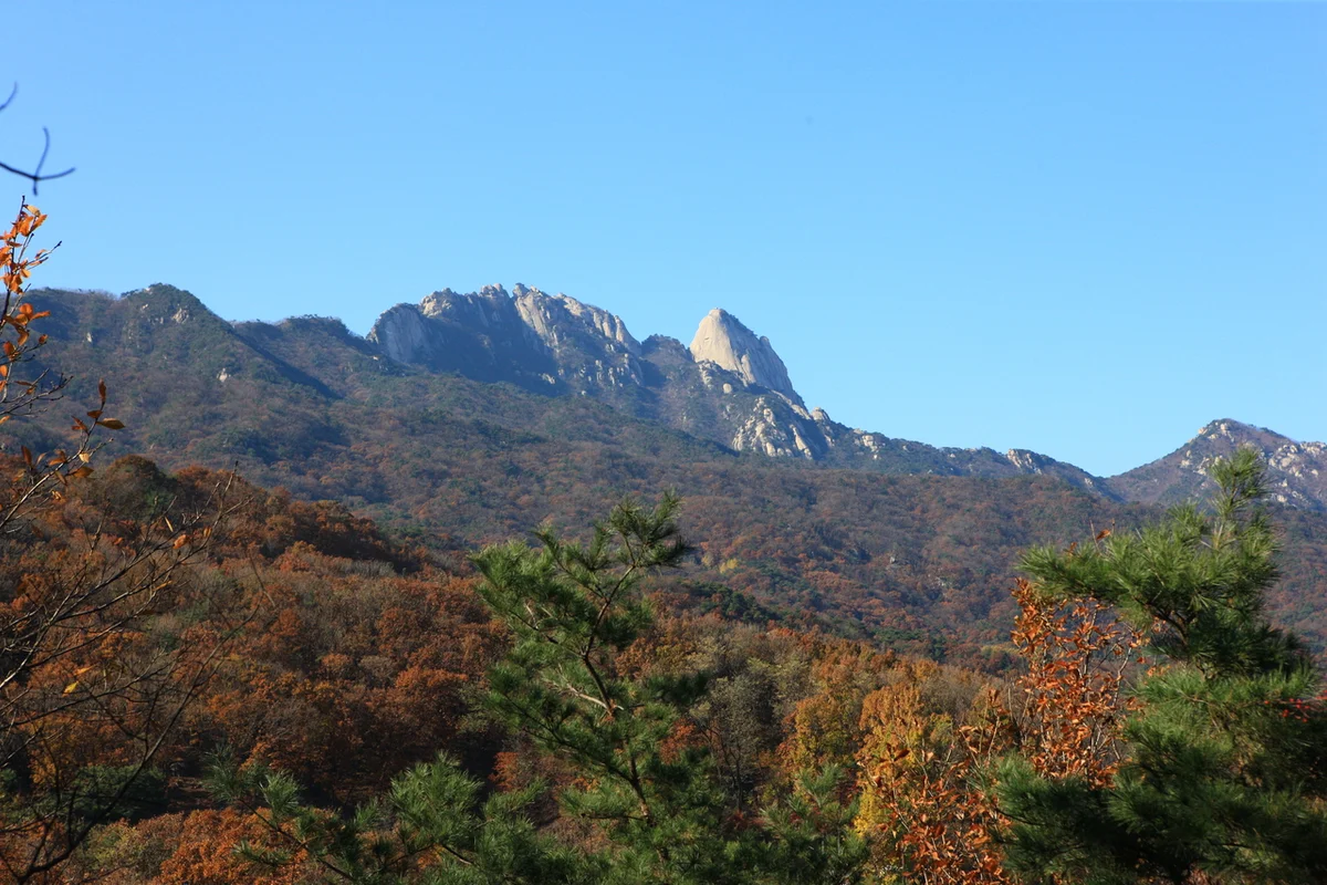 서울 도심 등산관광센터 - 북한산 여행