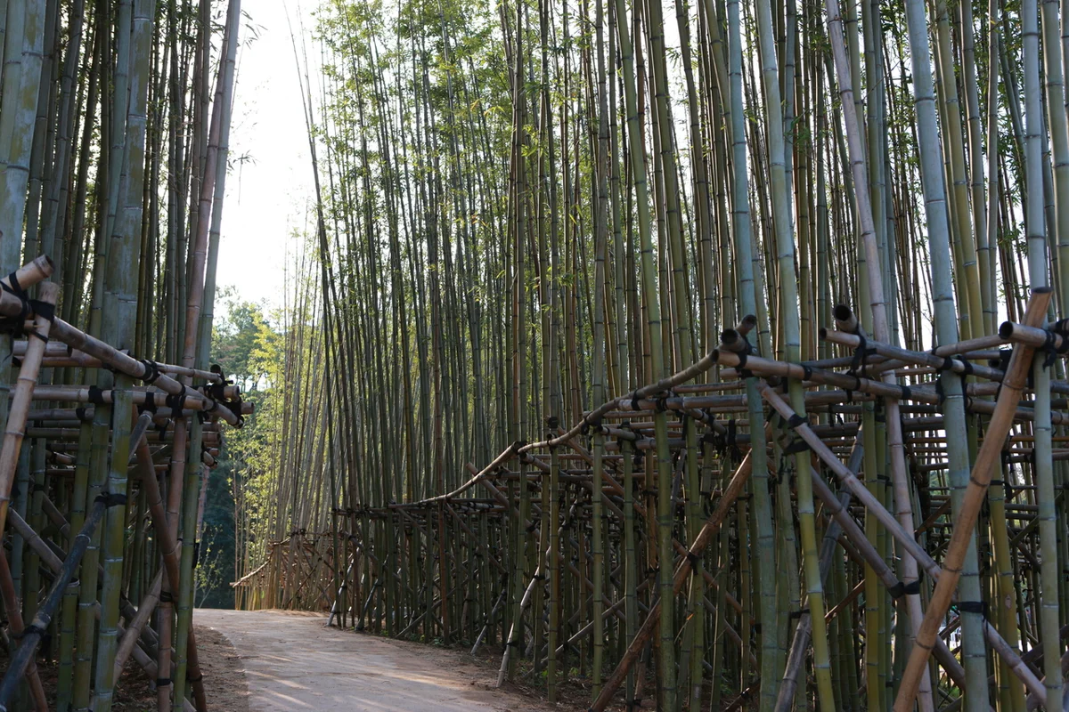 백제문화단지 가족여행: 찬란한 역사 속으로의 초대 - 백제문화단지 여행