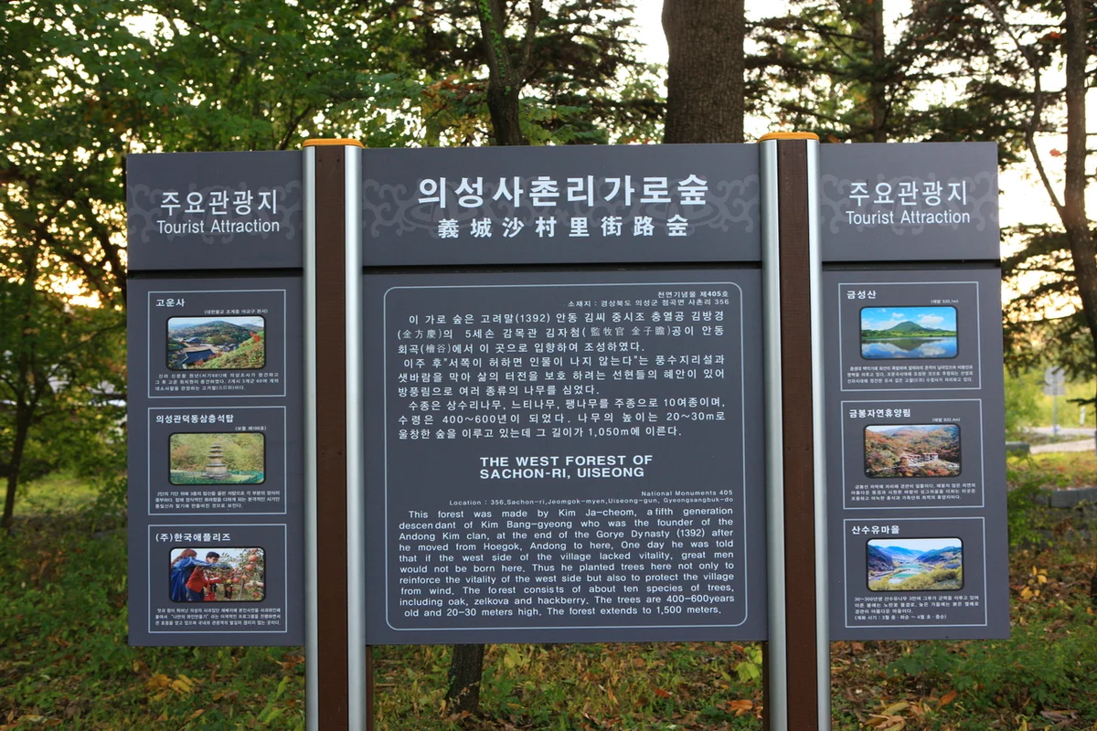 남대천고향의강: 봄꽃과 함께하는 의성 산책 명소 - 의성여행 여행