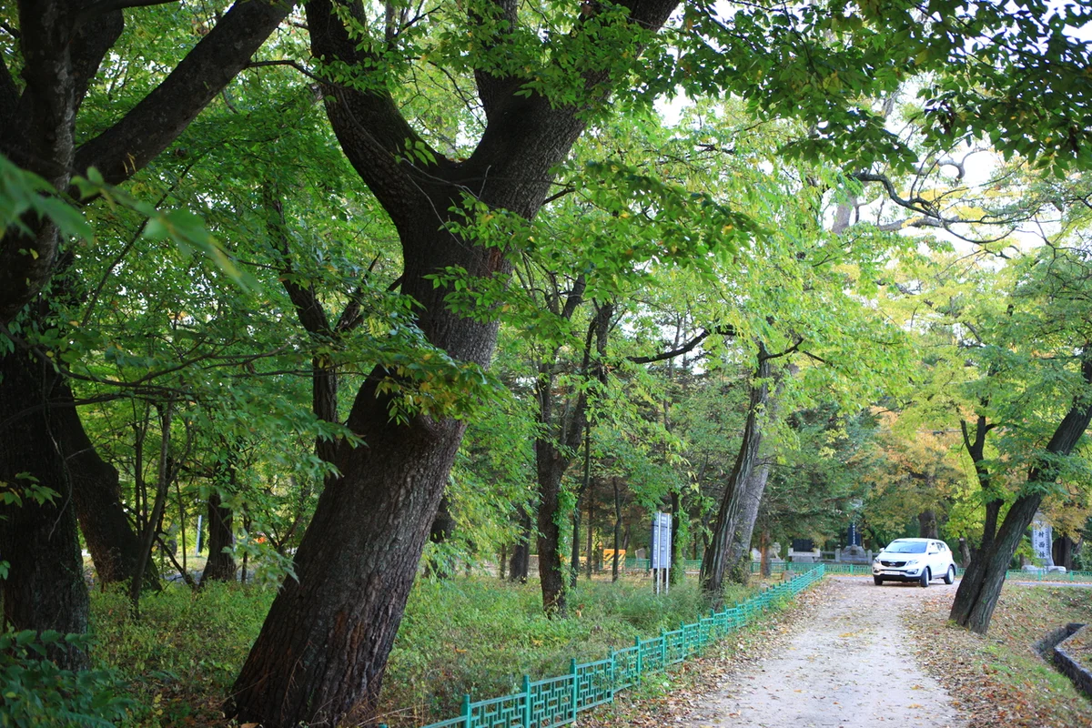 빙계계곡 - 의성여행 여행