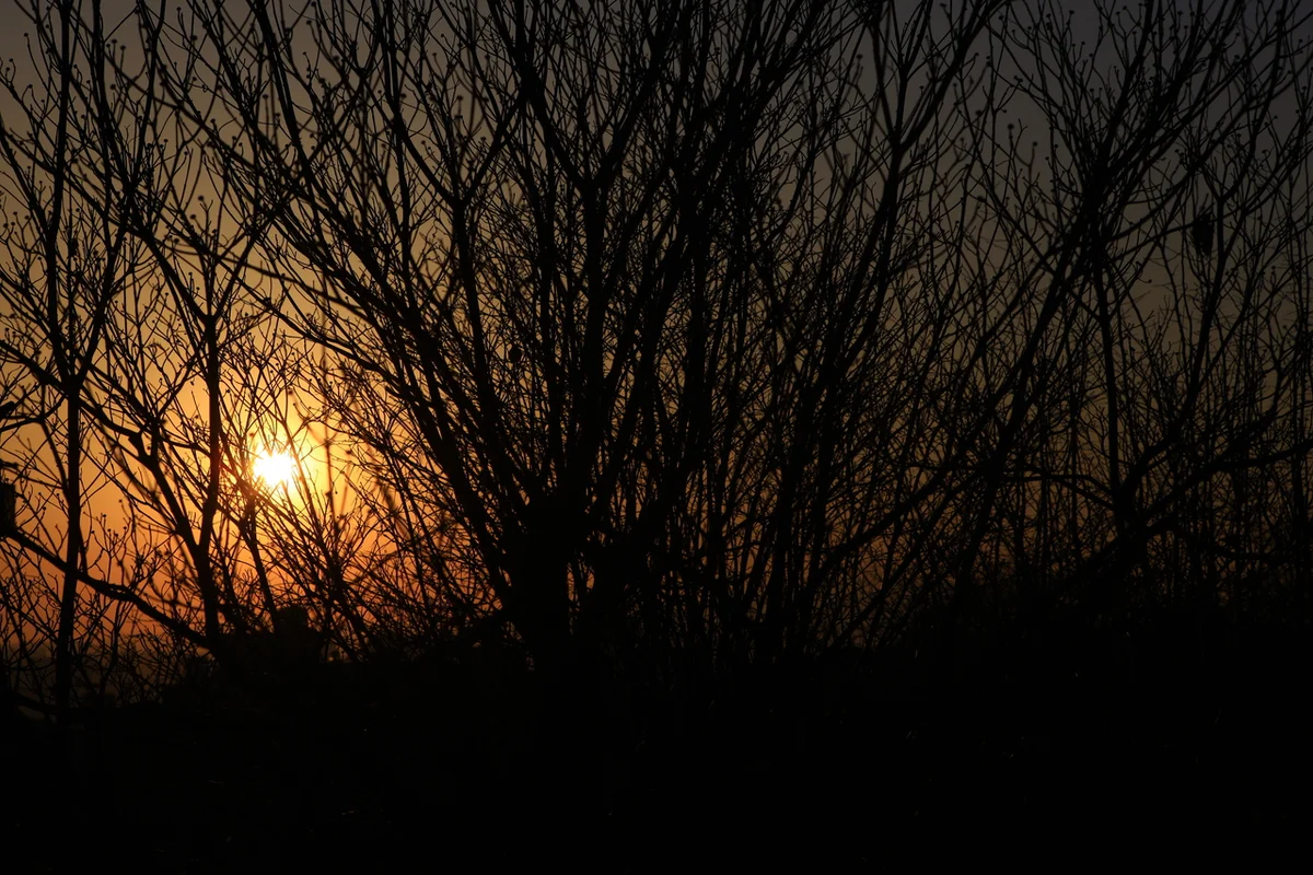 우암사적공원 - 대청호 여행
