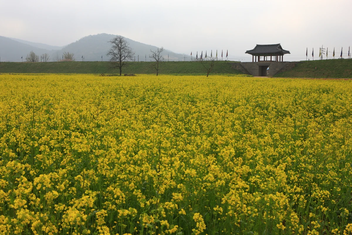 해미읍성 - 서산여행 여행