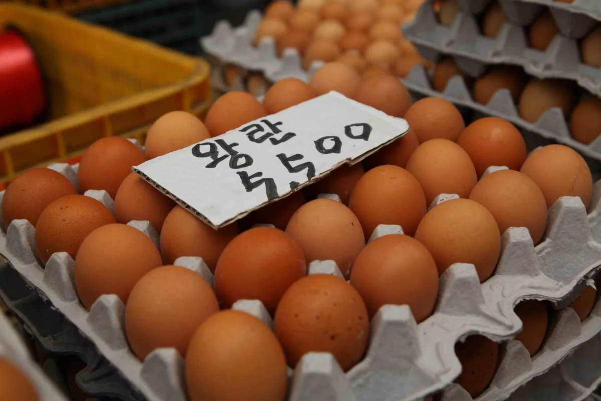 신포 국제시장 - 신포동당일치기 여행