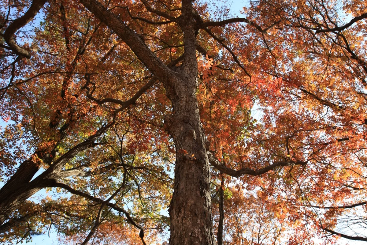 신구대학교식물원 - 성남여행 여행