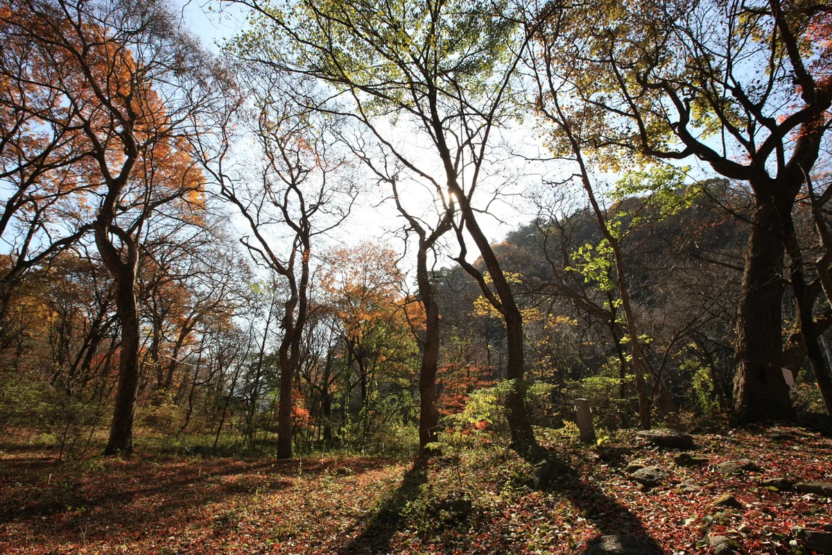 분당중앙공원 - 성남여행 여행