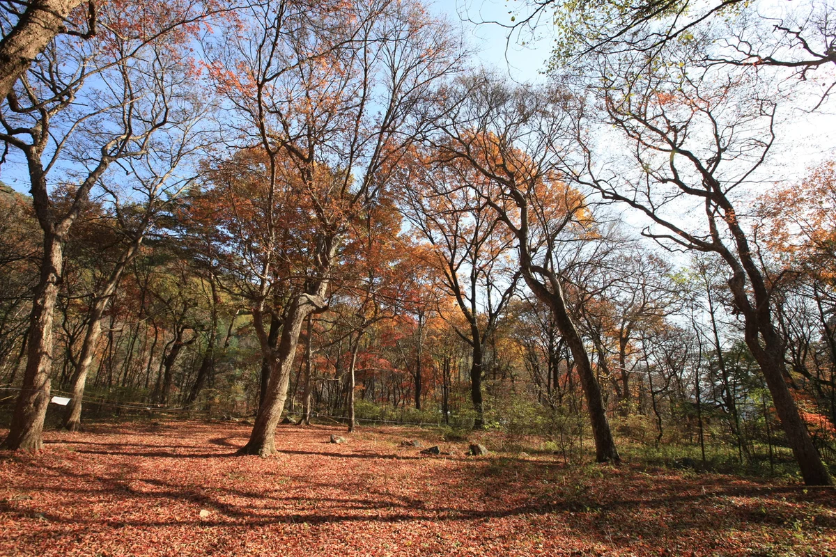 한국잡월드 - 성남여행 여행