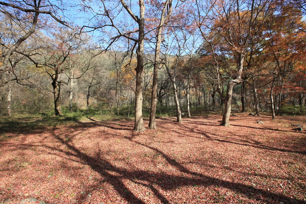 애니멀존 - 성남여행 여행