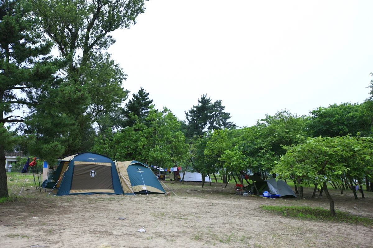 화진포해수욕장 - 고성여행 여행