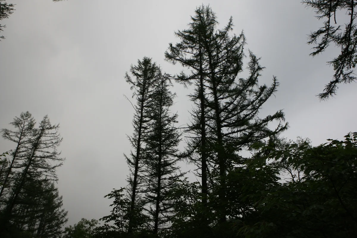 강원 나들이 명소: 제이드가든 - 강원도 여행 여행